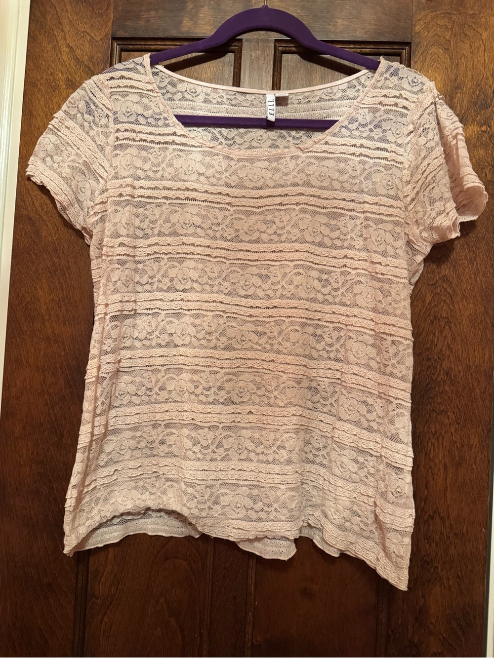 Elle Pale Pink Lace Short Sleeve Overlay Top🩷